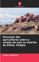 Perceção dos agricultores sobre a erosão do solo no distrito de Elfeta, Etiópia
