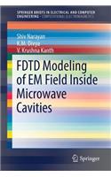 FDTD Modeling of EM Field inside Microwave Cavities