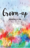 Grown-up: Wordless Picture Book