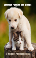 Adorable Puppies and Kittens