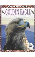 Golden Eagle