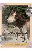Chincoteague Pony Identification Cards
