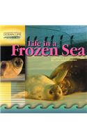 Life in a Frozen Sea