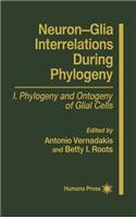 Neuron-Glia Interrelations During Phylogeny I
