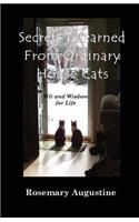 Secrets I Learned From Ordinary House Cats