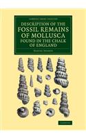 Description of the Fossil Remains of Mollusca Found in the Chalk of England