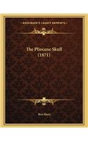 The Pliocene Skull (1871)