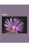 Zamia: Florida Arrowroot, Zamia Acuminata, Zamia Amazonum, Zamia Amblyphyllidia, Zamia Amplifolia, Zamia Angustifolia, Zamia