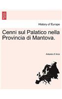 Cenni Sul Palatico Nella Provincia Di Mantova.