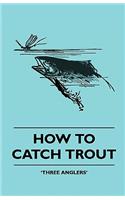 How To Catch Trout