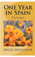 One Year in Spain