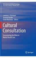 Cultural Consultation