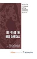 The Fate of the Male Germ Cell