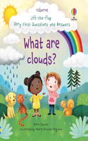 Very First Questions and Answers What are clouds?: (Very First Questions and Answers)