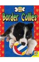 Border Collies
