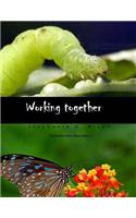 Working together