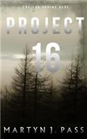 Project 16