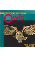 Welcome To The World Of Owls