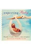 Expecting Baby: Nine Months of Wonder, Reflection and Sweet Anticipation (Pregnancy Book, First Time Mom)