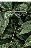 Journal