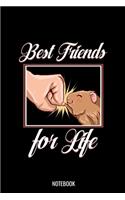 Best Friends For Life Notebook: Dot Grid Journal 6x9 - Guinea Pig Notebook I Cute Cavy Pet Owner Gift I Student School Back to School Present