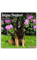 Belgian Shepherd Dog Calendar 2018