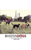 Boston Dogs
