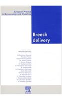 Breech Delivery: European Practice in Gynaecology and Obstetrics Series(2 European Practice in Gynaecology and Obstetrics)
