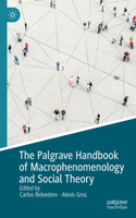 Palgrave Handbook of Macrophenomenology and Social Theory