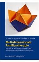 Multidimensionale Familientherapie