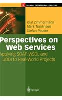 Perspectives on Web Services