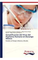 Genotificación del Virus del Papiloma Humano en Durango México