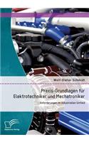 Praxis-Grundlagen für Elektrotechniker und Mechatroniker: Anforderungen im industriellen Umfeld