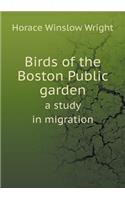 Birds of the Boston Public Garden a Study in Migration