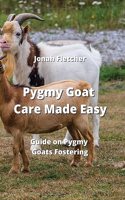 Pygmy Goat Care Made Easy: Guide on Pygmy Goats Fostering
