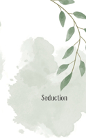 Seduction: Sex Story, Erotic Fiction, Sensual Story, Adult Novel, Explicit Literature