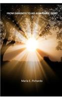 From Darkness to His Admirable Light