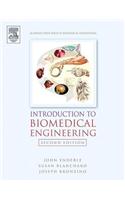 Introduction to Biomedical Engineering