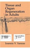 Tissue and Organ Regeneration in Adults