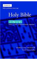 TNIV Bible Popular Edition Burgundy French Morocco Leather