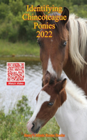 Identifying Chincoteague Ponies 2022