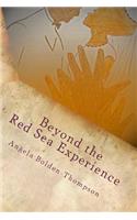 Beyond The Red Sea Experience