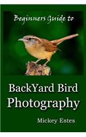 Beginners Guide To Backyard Bird Photography