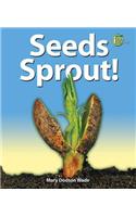 Seeds Sprout!