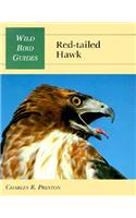 Wild Bird Guide: Red-Tailed Hawk