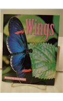 Wings, Single Copy, Beginning Discovery Phonics