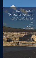 Important Tomato Insects of California; E99