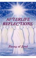 Afterlife Reflections