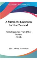 Summer's Excursion In New Zealand