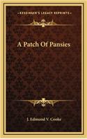 A Patch of Pansies
